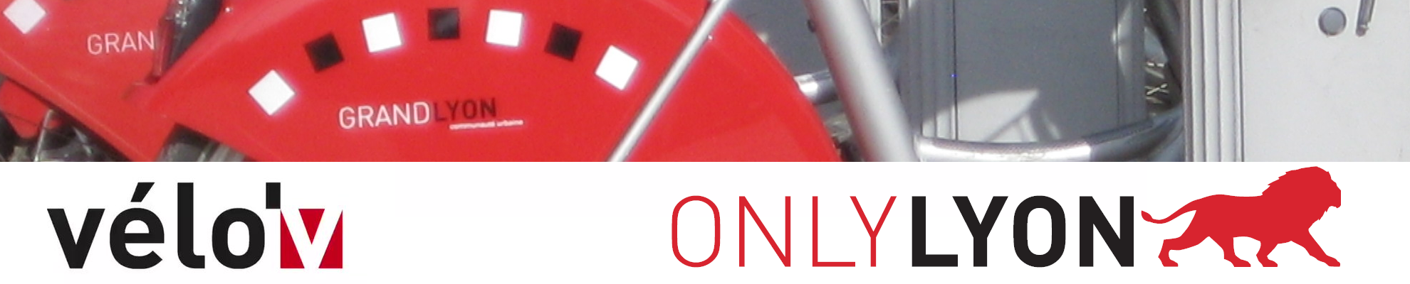 Only Lyon Vélo'v